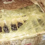 Crate lined with ZERUST ICT504-LM Moisture Limiting VCI Film for packaging crank shafts during shipment