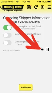 Email Z-CIS Report