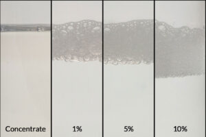 ZERUST AxxaWash KF-122 chemistry in concentrate form alongside diluted solutions at 1%, 5%, and 10% concentrations, showcasing compatibility with hard water for parts cleaning.