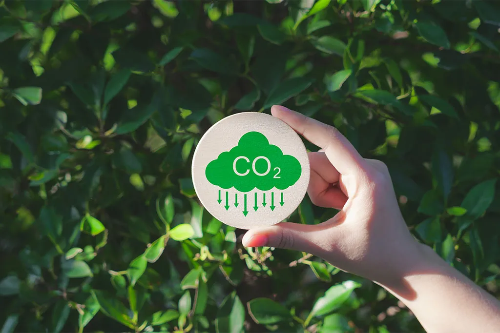 Graphic of a CO₂ cloud with downward arrows, representing reducing carbon emissions.