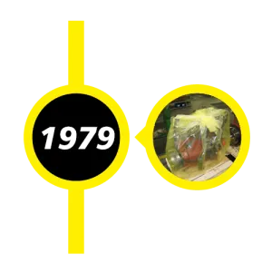 1979 timeline tracker with product in our patented yellow VCI bag